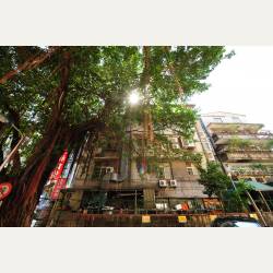 ayumilog | Taipei | 永康街 Yong Kang Street | 雰囲気あるよね。この木・・