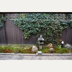 ayumilog | Gifu | 織部うつわ邸にてお抹茶を嗜む | 庭園をたのしんでいると...